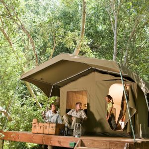 Jungle & Rainforest: Humidity-Safe Travel and Camp Setup