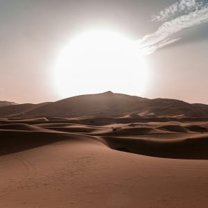 Desert Survival Module: Heat, Hydration, and Route Discipline
